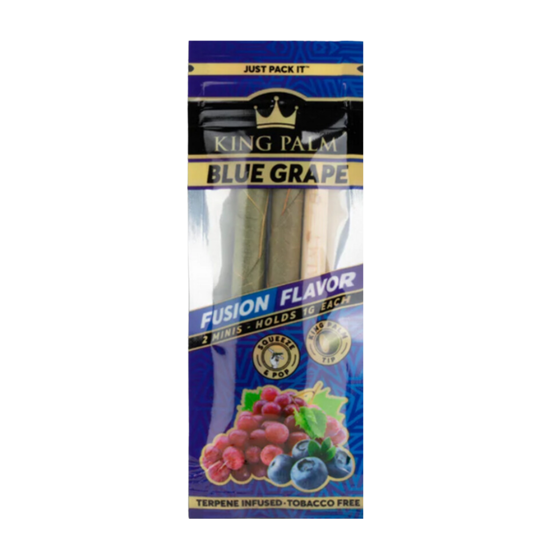 KING PALM CONES - MINI