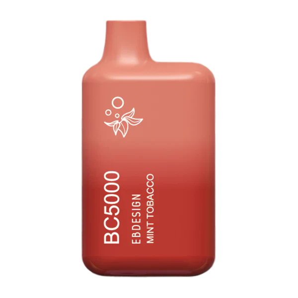 EBCREATE DISPOSABLE VAPES 5000 PUFF