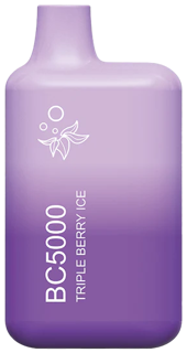 EBDESIGN DISPOSABLE VAPES 5000 PUFF