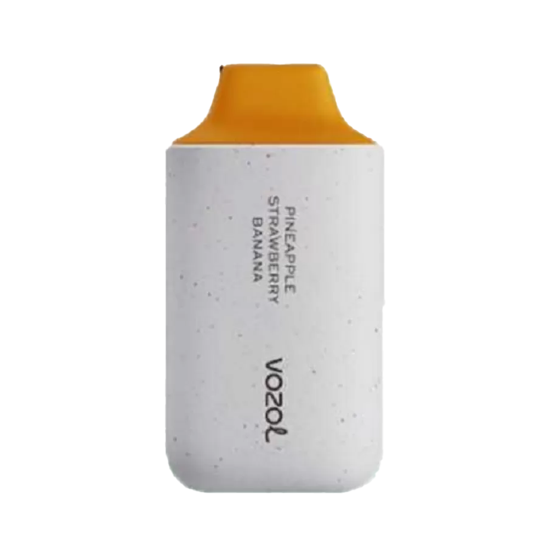 VOZUL DISPOSABLE VAPES STAR 6000 PUFF