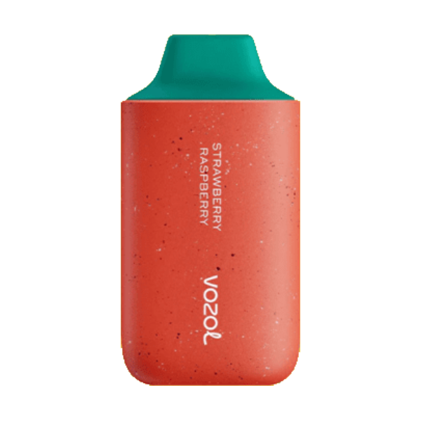VOZUL DISPOSABLE VAPES STAR 6000 PUFF